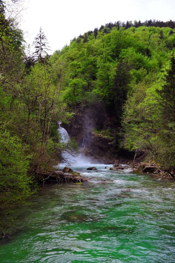 Apartma Marjetica Blejska Dobrava ภายนอก รูปภาพ