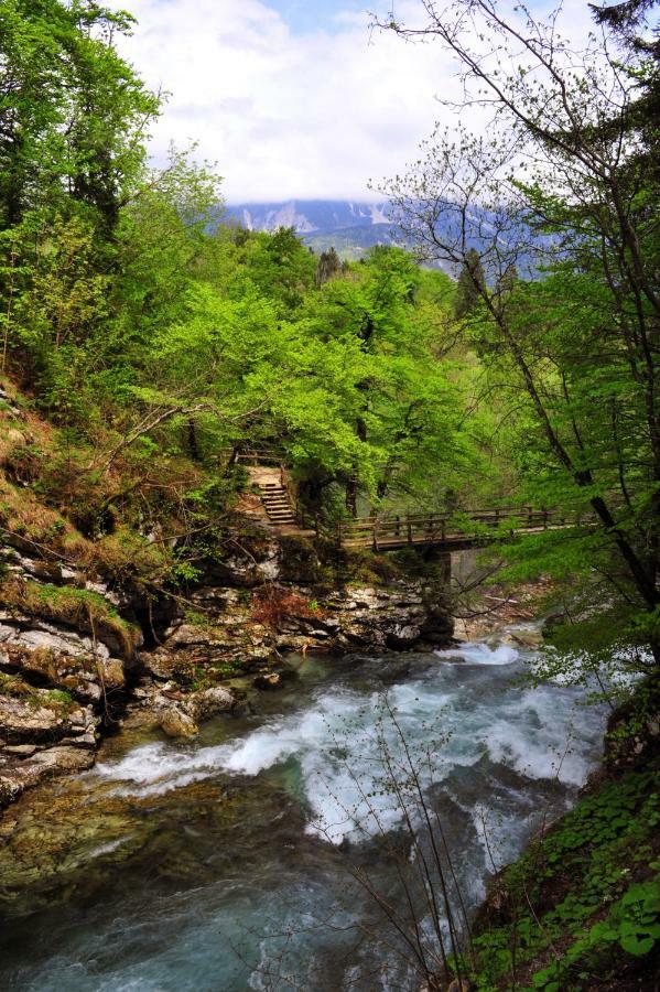 Apartma Marjetica Blejska Dobrava ภายนอก รูปภาพ