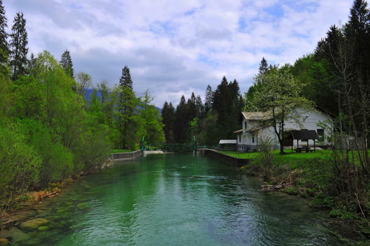 Apartma Marjetica Blejska Dobrava ภายนอก รูปภาพ
