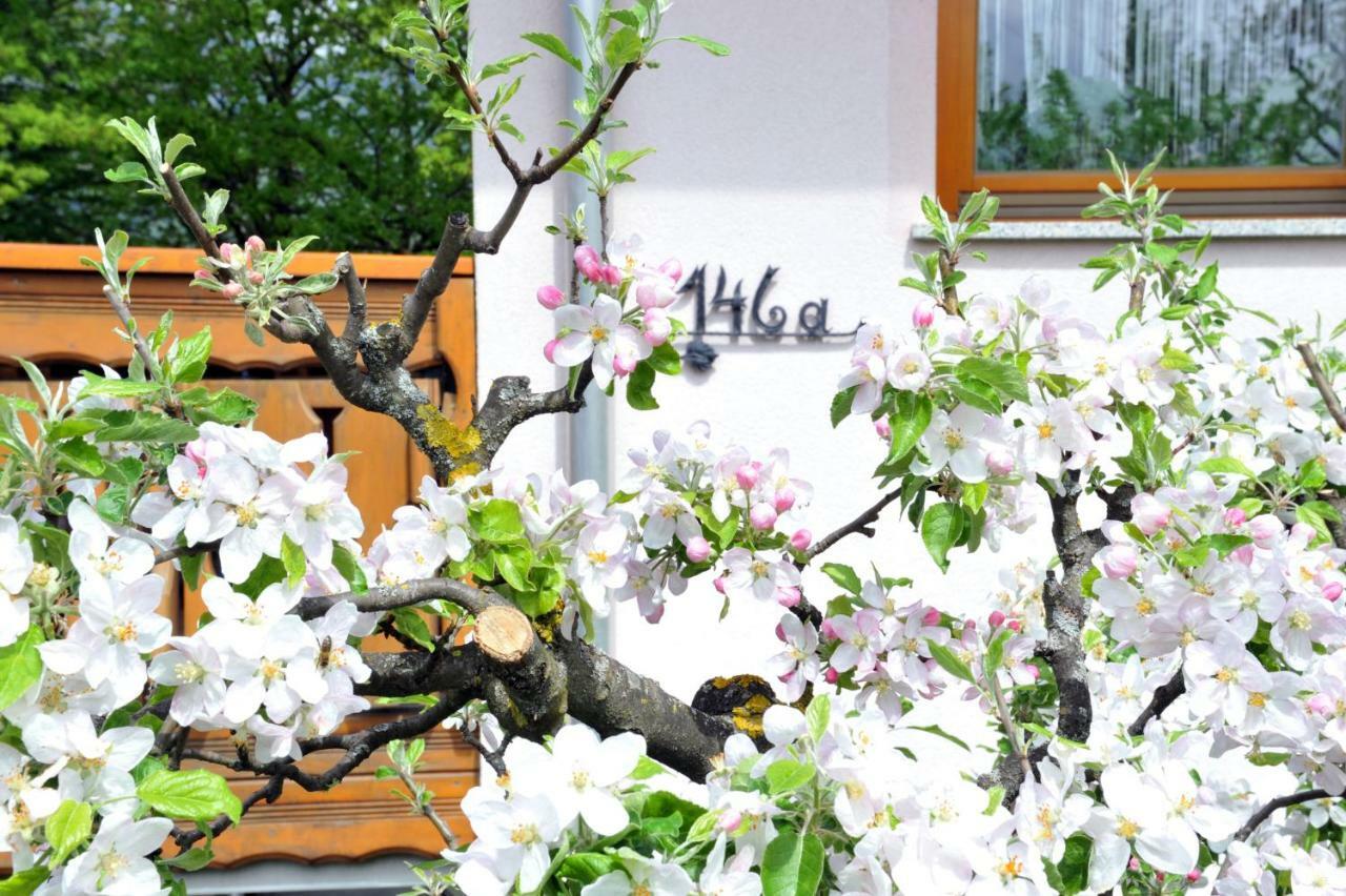 Apartma Marjetica Blejska Dobrava ภายนอก รูปภาพ