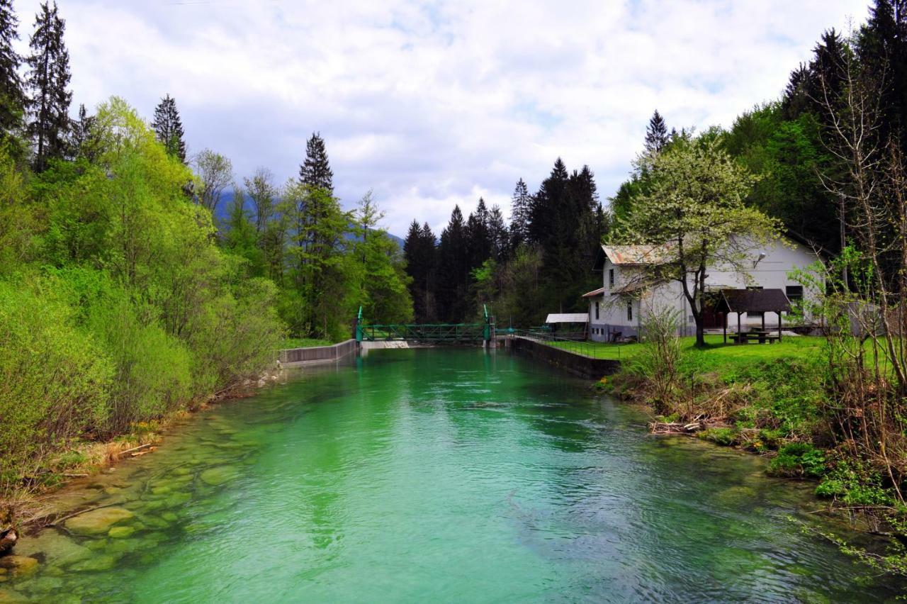 Apartma Marjetica Blejska Dobrava ภายนอก รูปภาพ