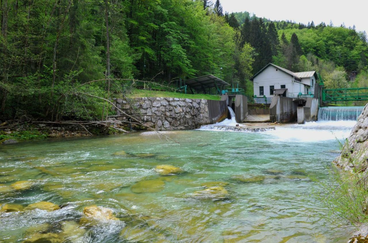 Apartma Marjetica Blejska Dobrava ภายนอก รูปภาพ